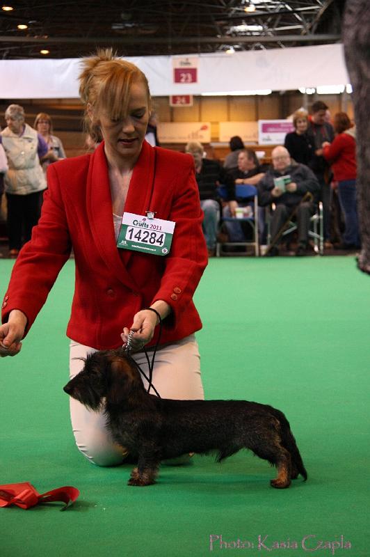 Crufts2011_2 526.jpg